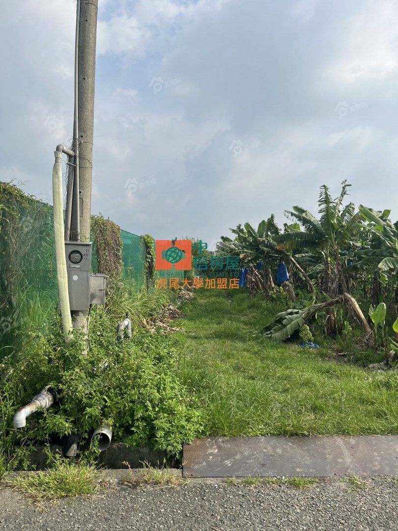 斗六古坑綠色隧道農地