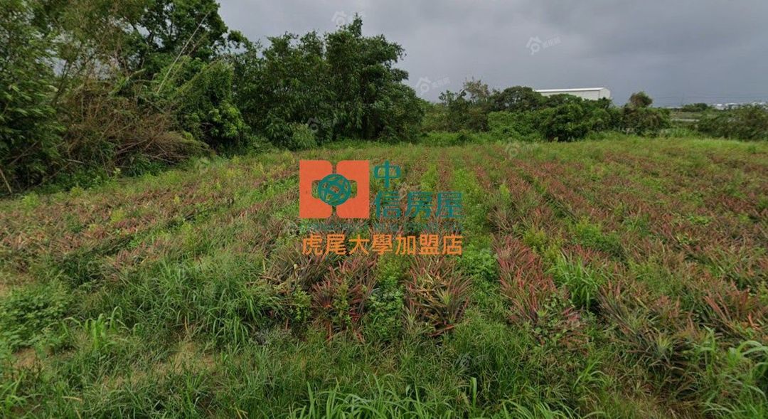 【售】台南新化近開新路農地