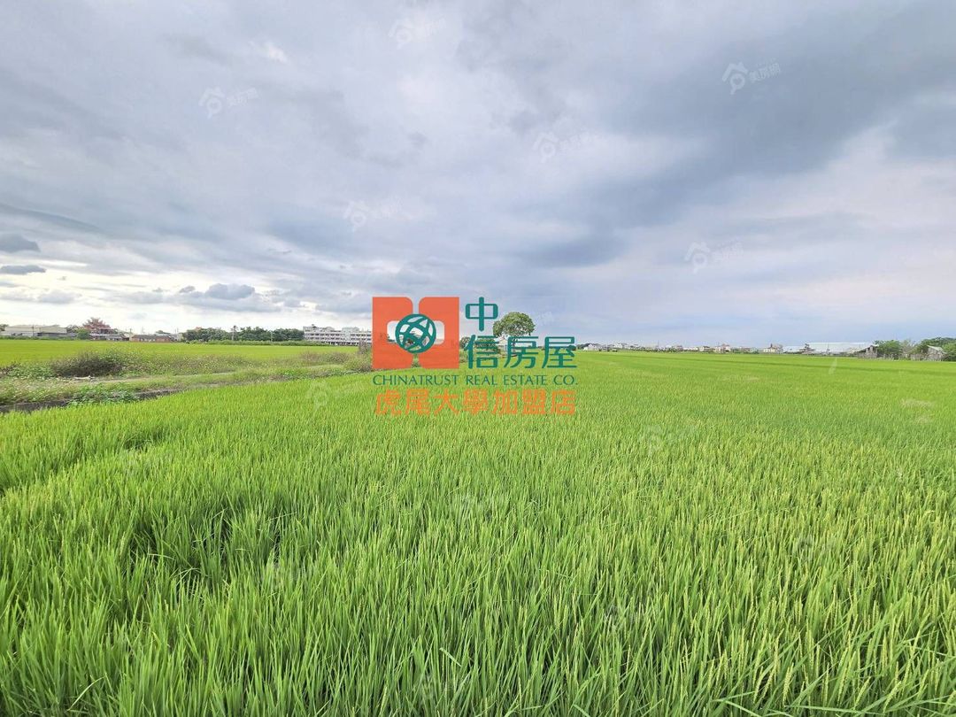 【售】大埤美農地